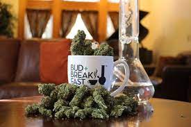 420 friendly hotels in colorado bud and breakfast