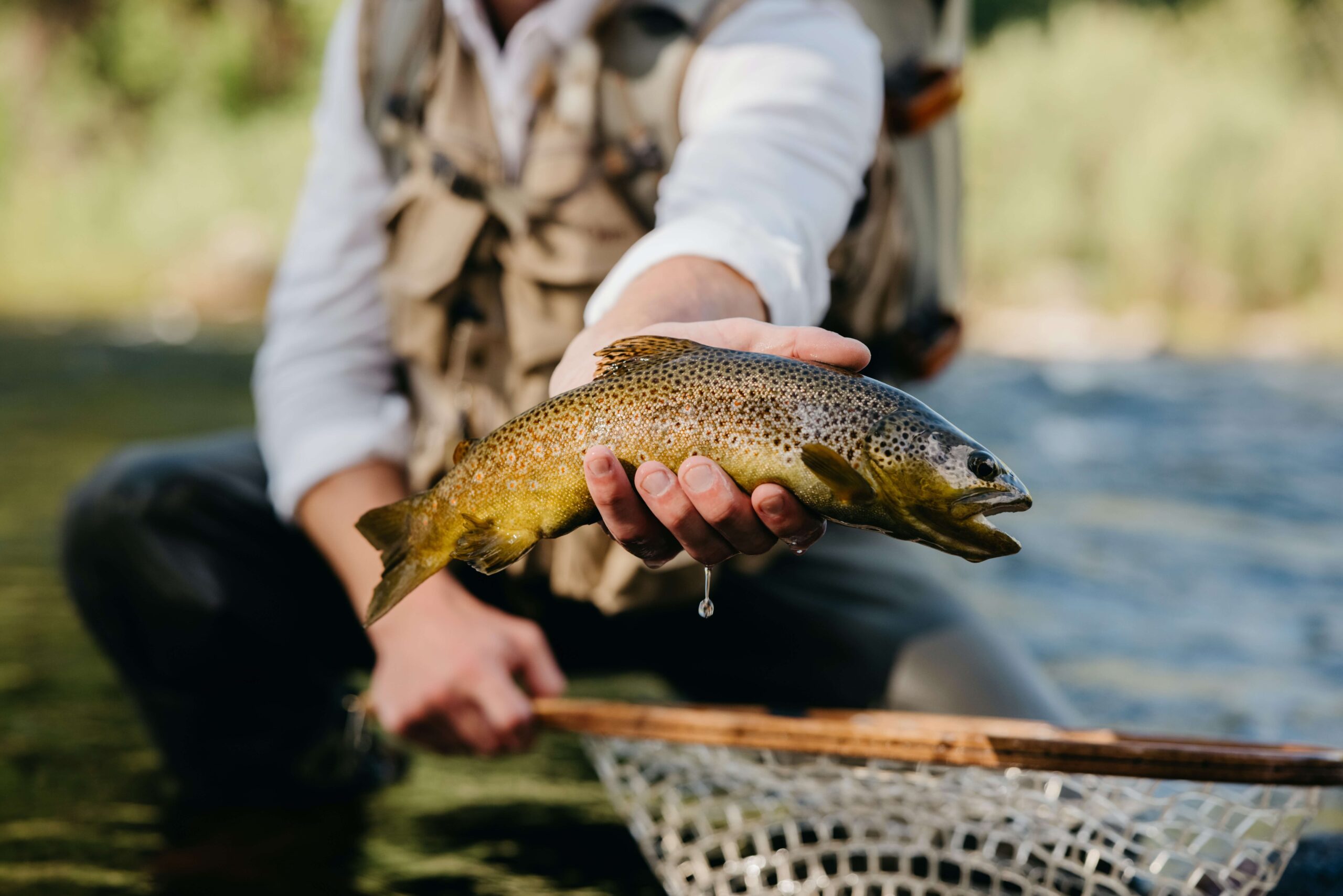 fishing-in-colorado-springs-brown-fish