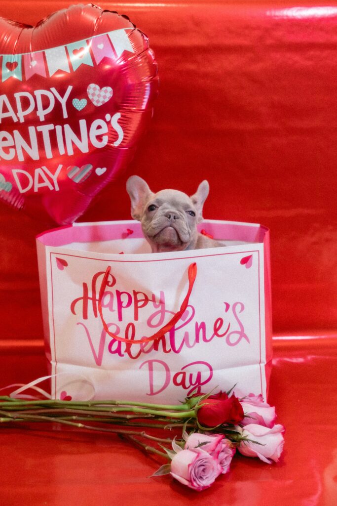valentines special near denver
